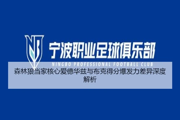森林狼当家核心爱德华兹与布克得分爆发力差异深度解析
